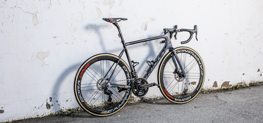 Ridley